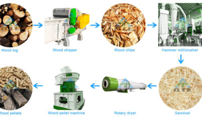 biomass process